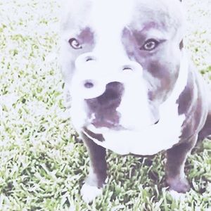 Meet your Posher, Yem